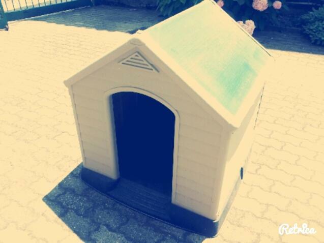 Bed and Breakfast Gaietta Frassineto Po Exterior foto
